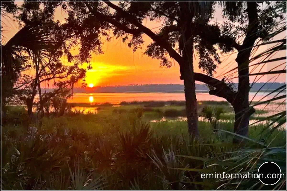Fripp Island Golf & Beach Resort: Coastal Golf and Relaxing Escapes