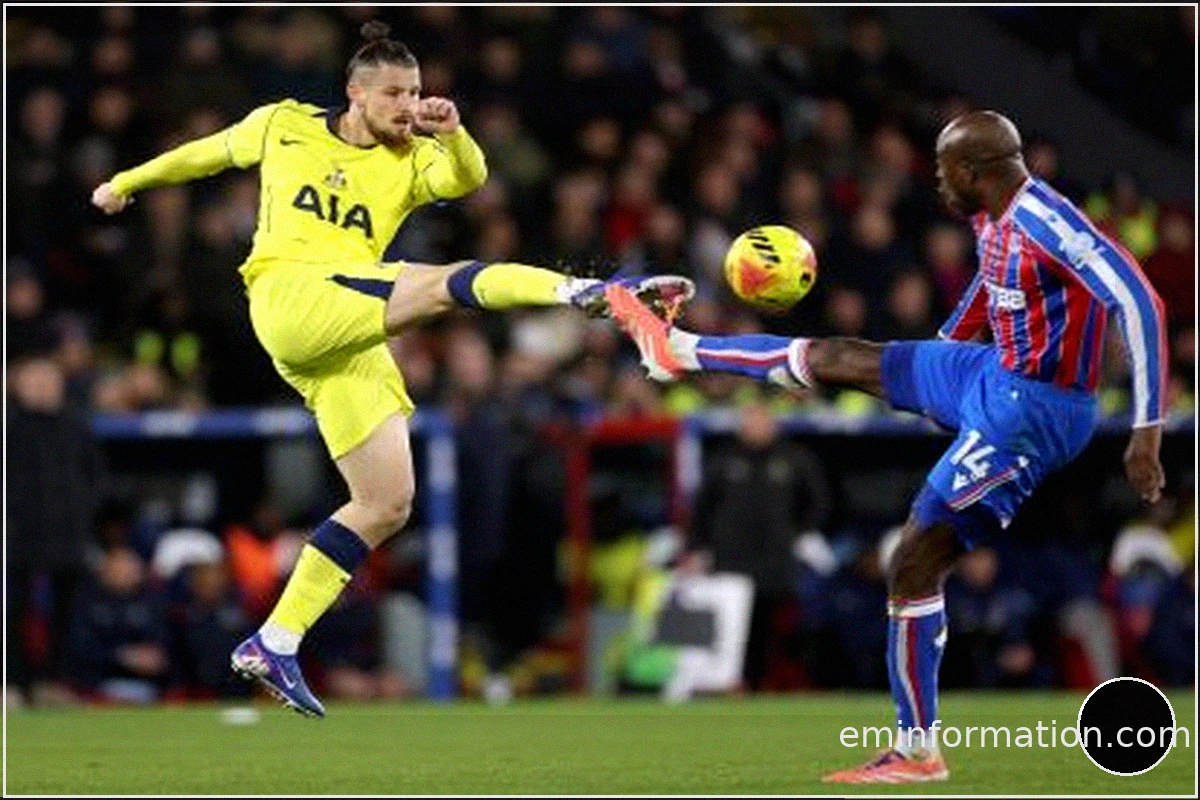 Fiorentina Secures Radu Dragusin on Loan from Tottenham