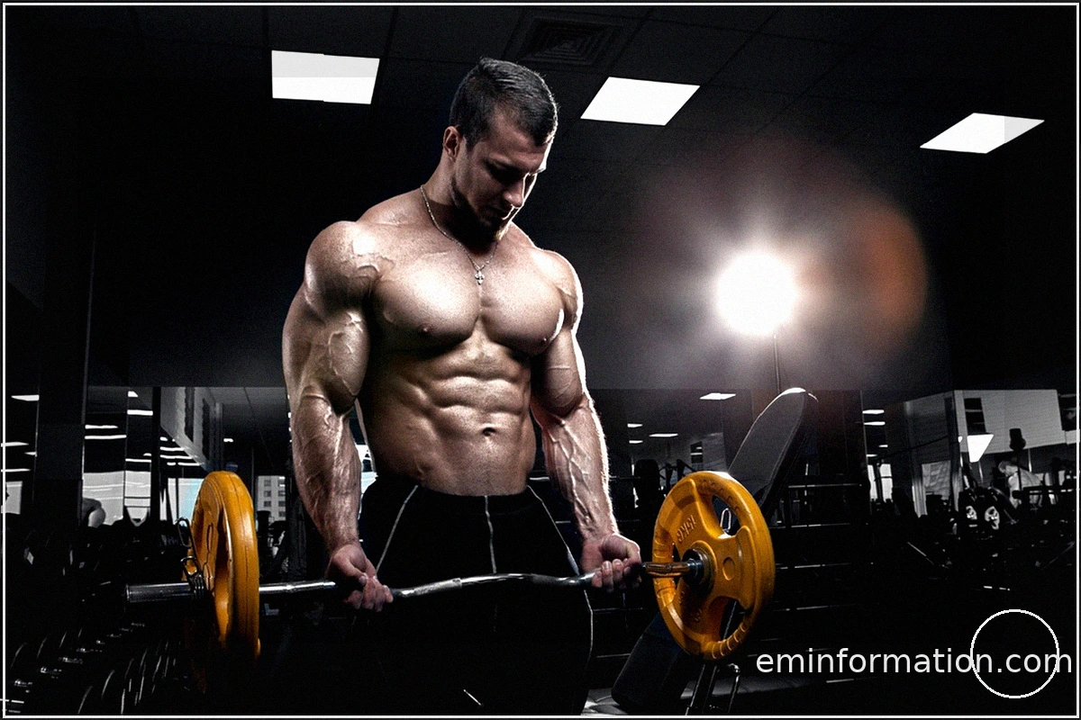 SARMs and Peptides for MMA Recovery: A Scientific Look