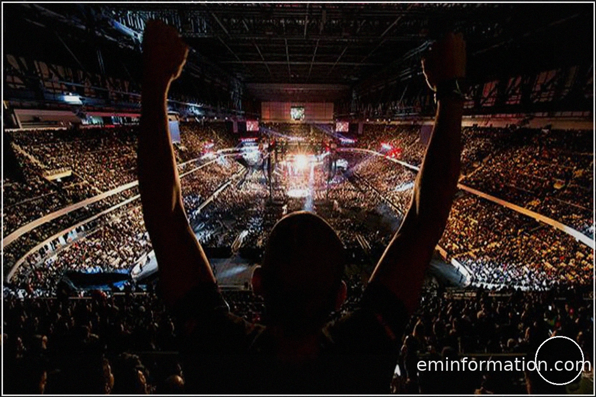 How MMA Fans Are Embracing Online Entertainment Today